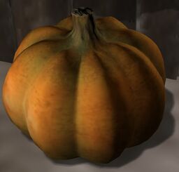WL1 Pumpkin.jpg